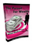 Thumbnail The Pursuit For Wealth (MRR) Thumbnail The Pursuit For Wealth (MRR)