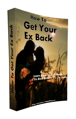 Product picture How To Get Your Ex Back(MRR)