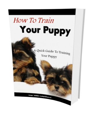 Product picture How To Train Your Puppy (MRR)