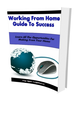 Product picture Working From Home Guide To Success (MRR)