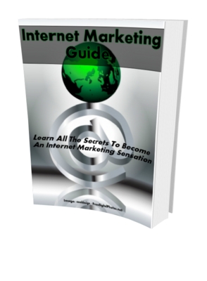 Product picture Internet Marketing Guide (MRR)